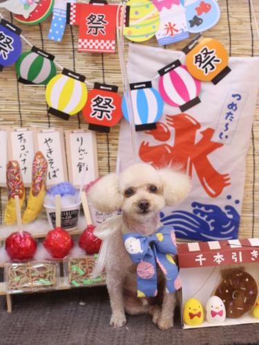 20240717もものすけくん